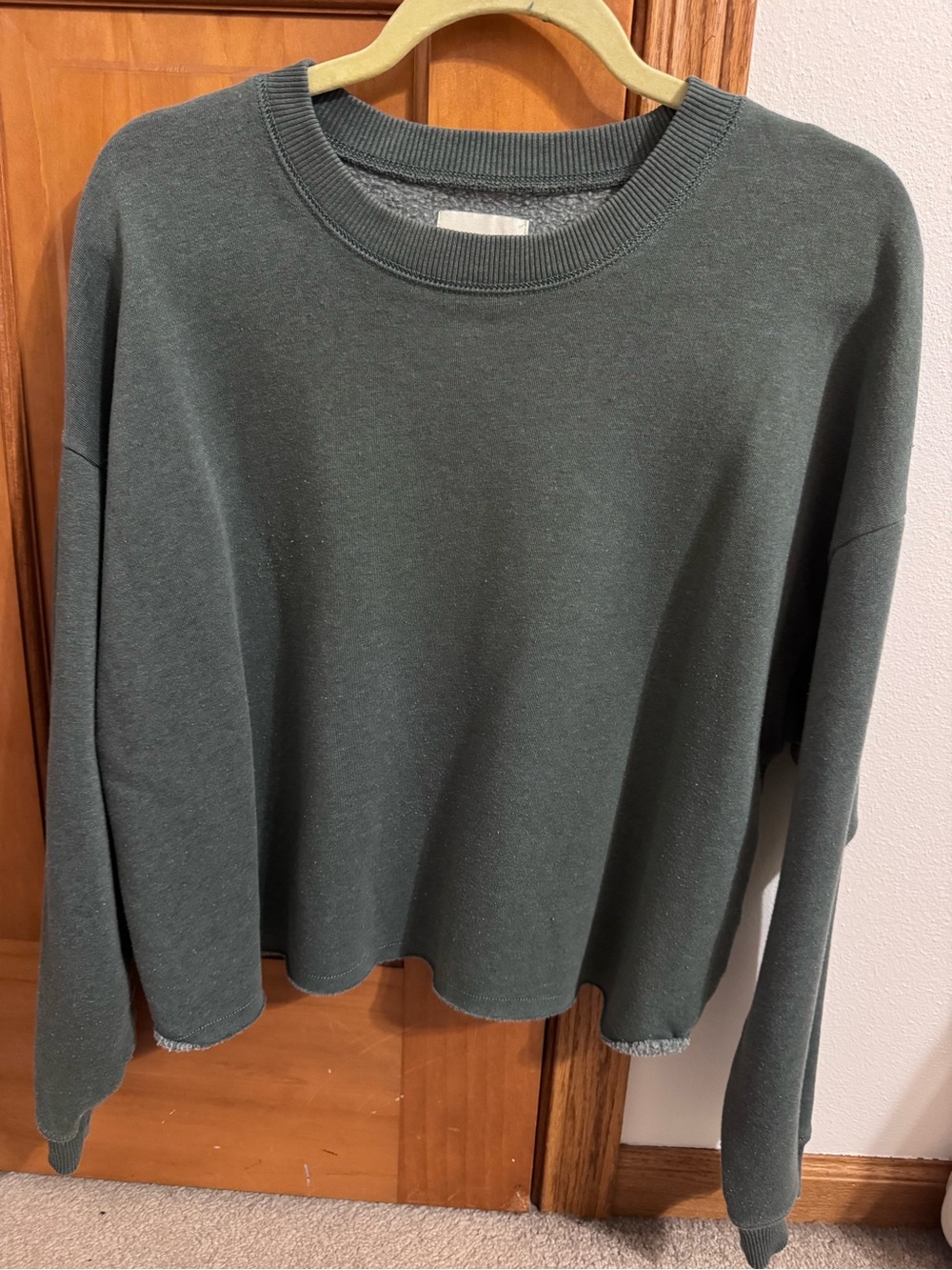 American Eagle Cropped Crewneck Sweatshirt - Green